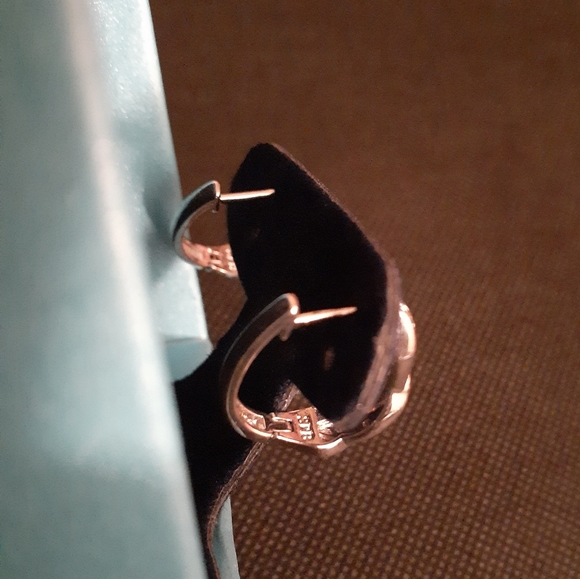 1/4ct Platinum Diamond Infinity Hoop Earrings - Picture 2 of 5